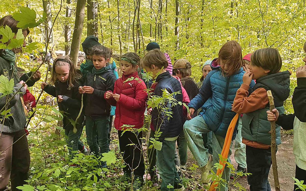 Riechen, schmecken, fühlen – so fällt das Lernen viel leichter.