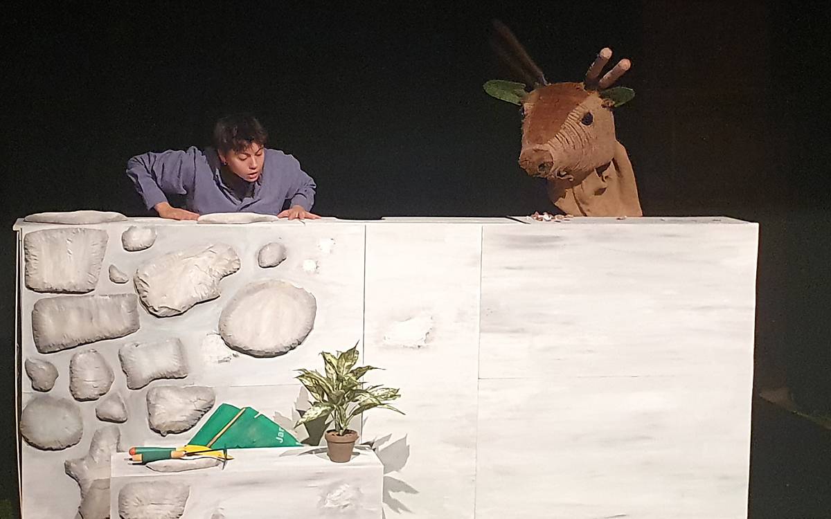 Auftritt des Rothirschs