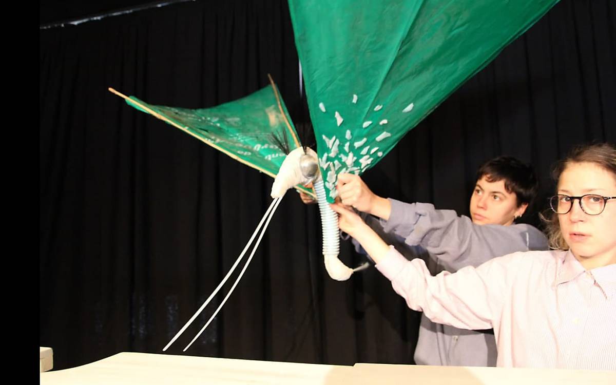 Von der Raupe zum Schmetterling.