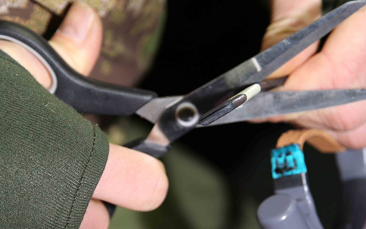 Das Senderhalsband wird individuell angepasst.