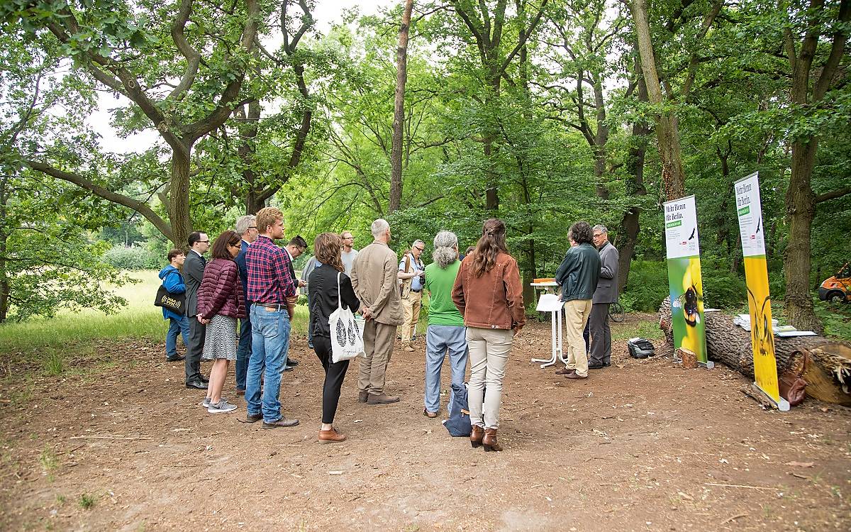 wildbienen-berlin_reden-zuschauer