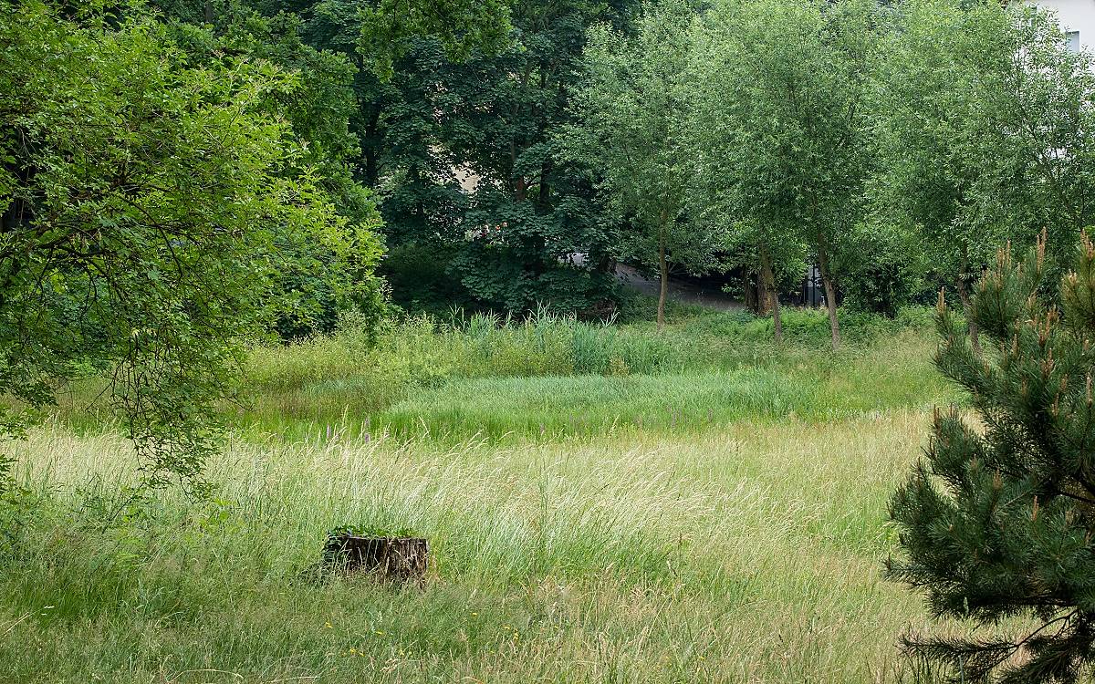 Baumannsche Wiese, Berlin.