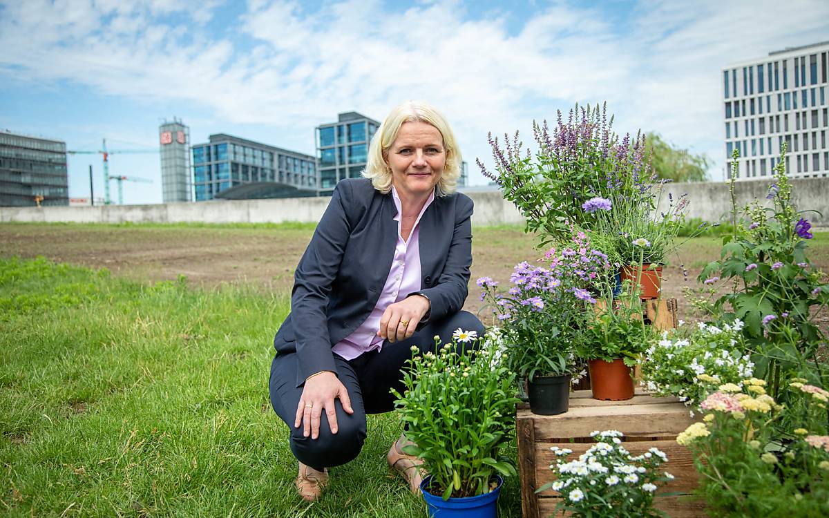 Umweltsenatorin Regine Günther: „Berlin kann wichtige Lebensräume für Insekten bieten, wenn nicht immer mehr Flächen versiegelt, sondern Brachen begrünt und bestäuberfreundlich gestaltet werden.“