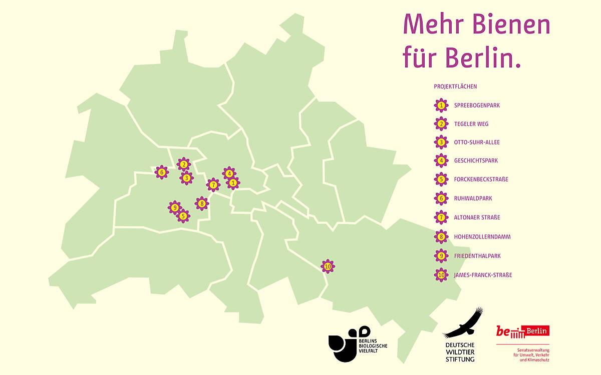Diese Flächen werden vom Berliner Senat, den Bezirken und der Deutschen Wildtier Stiftung wildbienenfreundlich umgestaltet.