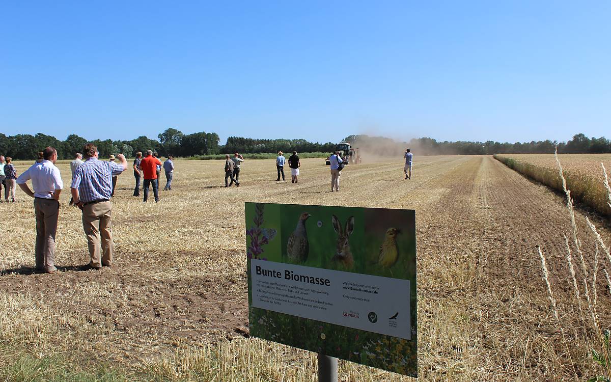 Blühende Wildpflanzen statt Maismonokultur - hier wird eine mehrjährige Wildpflanzenmischung eingesät (Foto. C. Kemnade)