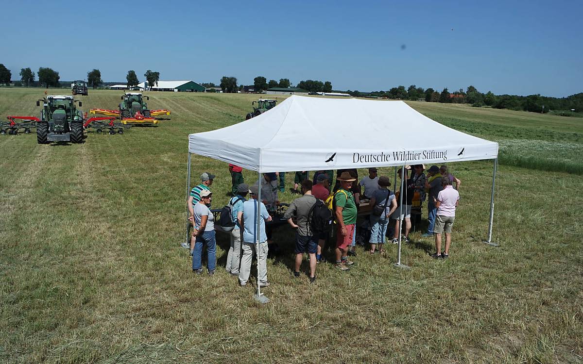 Beobachtungspunkt auf der Wiese. Foto: Barbara Blenski