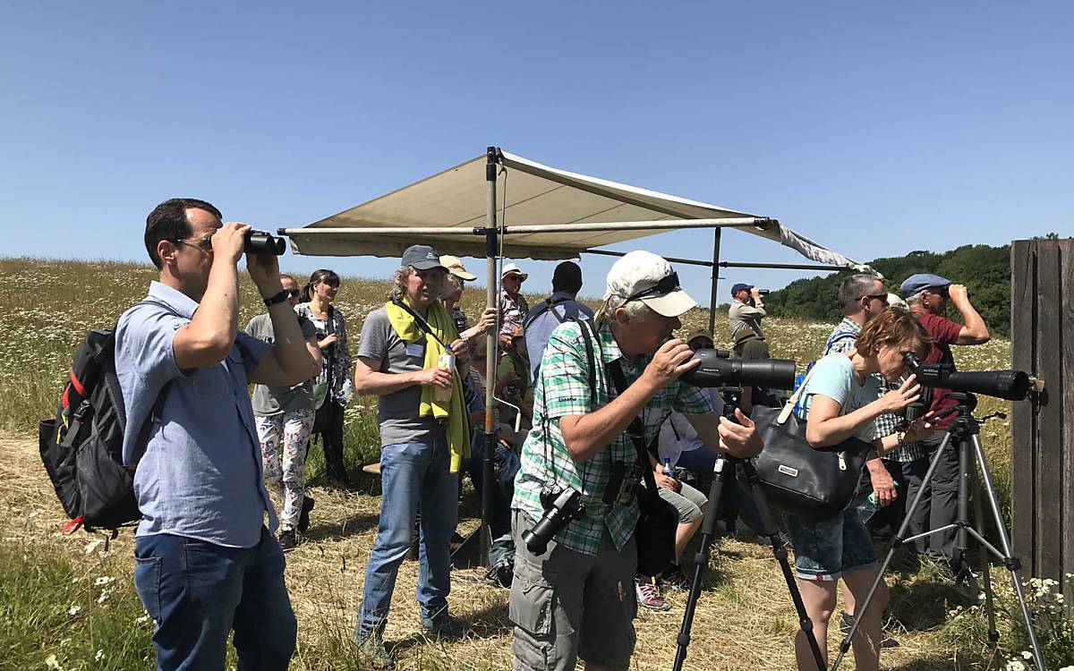 Beobachtung der Trauerseeschwalben. Foto: Birgit Kranzl