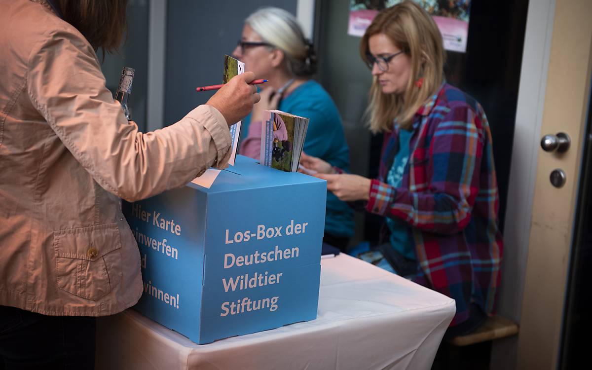 Die Deutsche Wildtier Stiftung verlost die DVD zum Film „Die Wiese – Ein Paradies nebenan“