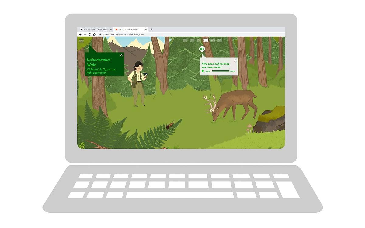 wtf_lebensraum-wald-audiobeitrag_headermotiv