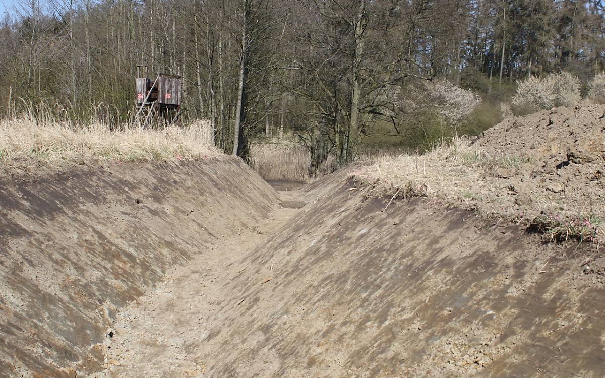 Vorbereitung der Renaturierung des Goldbachs - Foto: Michael Tetzlaff