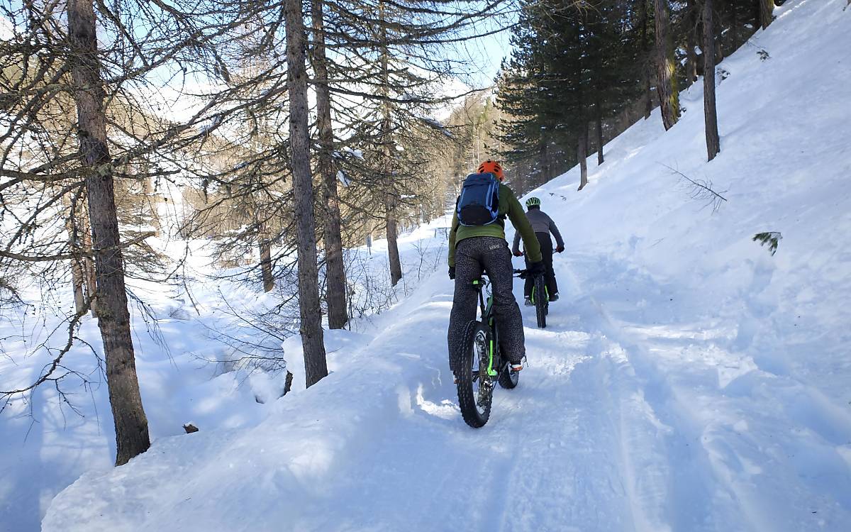 Mountainbiker im Wald (Foto: Imagebroker Meike Engels)