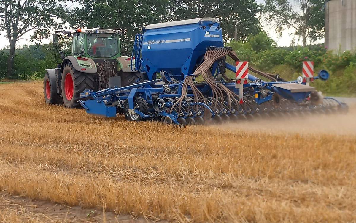 Direktsaat in die Stoppelbrache ohne vorige Bodenbearbeitung