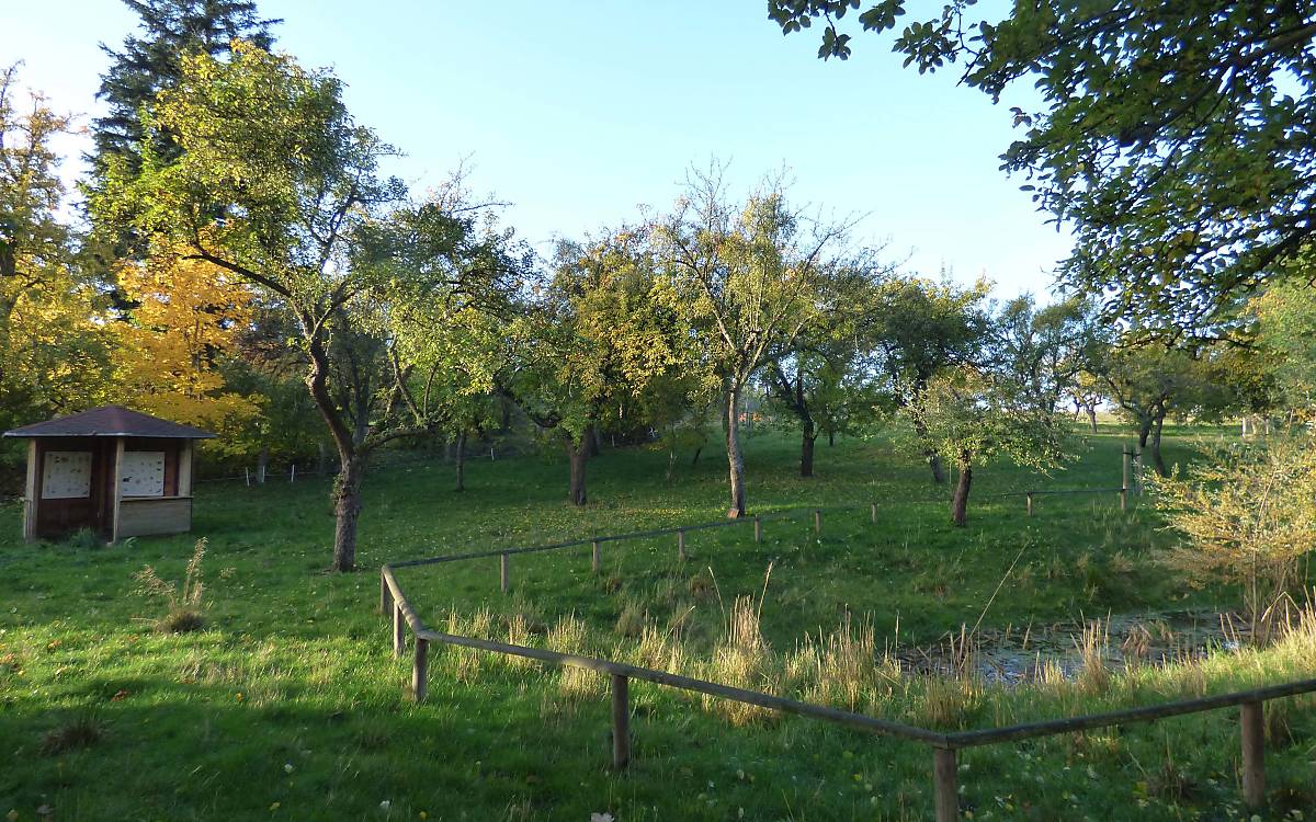 Streuobstwiese in Klepelshagen  Copyright © Michael Tetzlaff / Deutsche Wildtier Stiftung