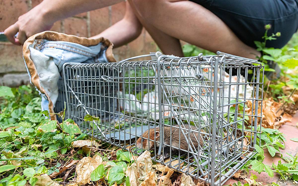 Vom Käfig aus schlüpft der Hamster nun in einen  so genannten Untersuchungsbeutel , den sie selbst genäht hat. Foto Copyright (c) Christine Sonvilla