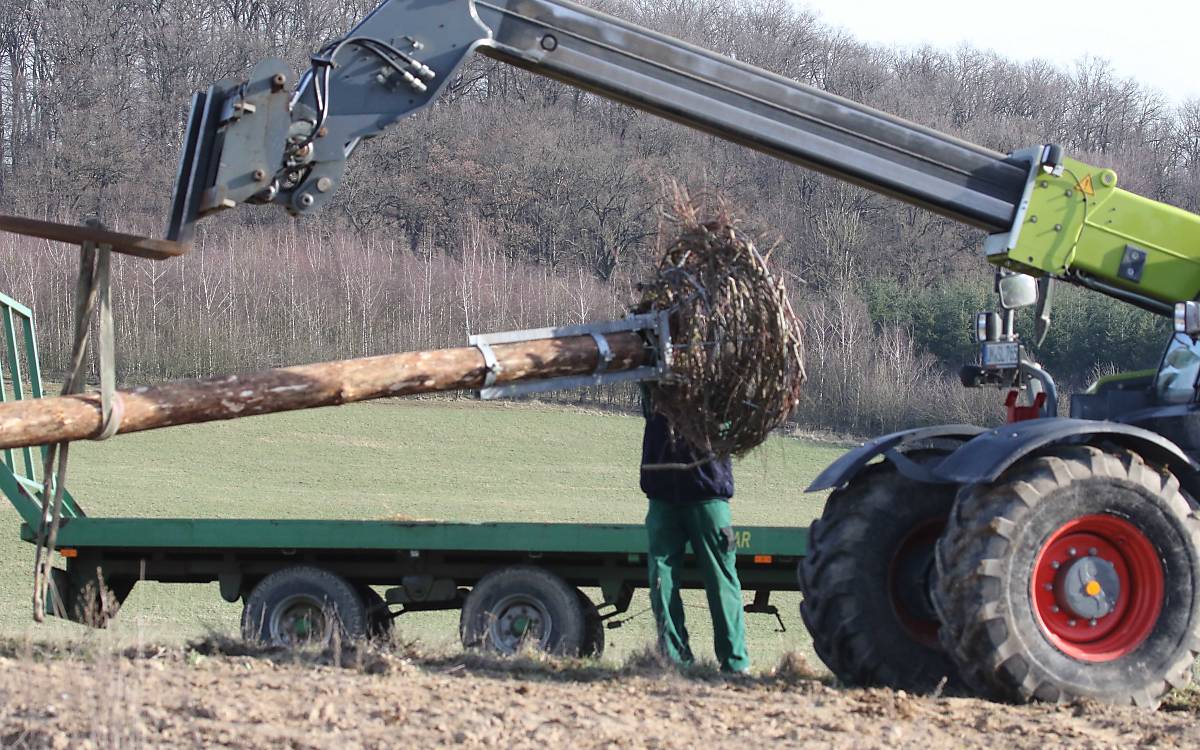 Mit schwerem Gerät errichten die Helfer den neuen Horst.
