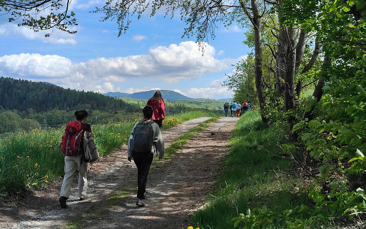 Die Natur regt den Dialog an – Exkursion in den Wald