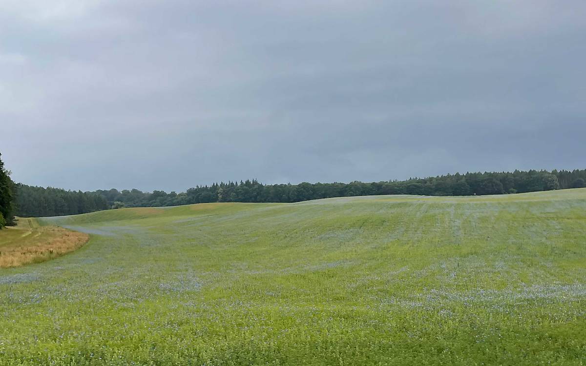 impressionen_galerie-9_gut-klepelshagen_stiftungsausflug_landwirtschaftsflaechen_gewitter_bv