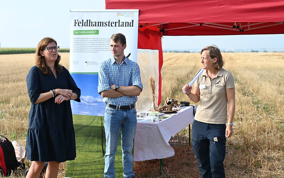 Dr. Ophelia Nick, Michael Müller, Dr. Saskia Jerosch