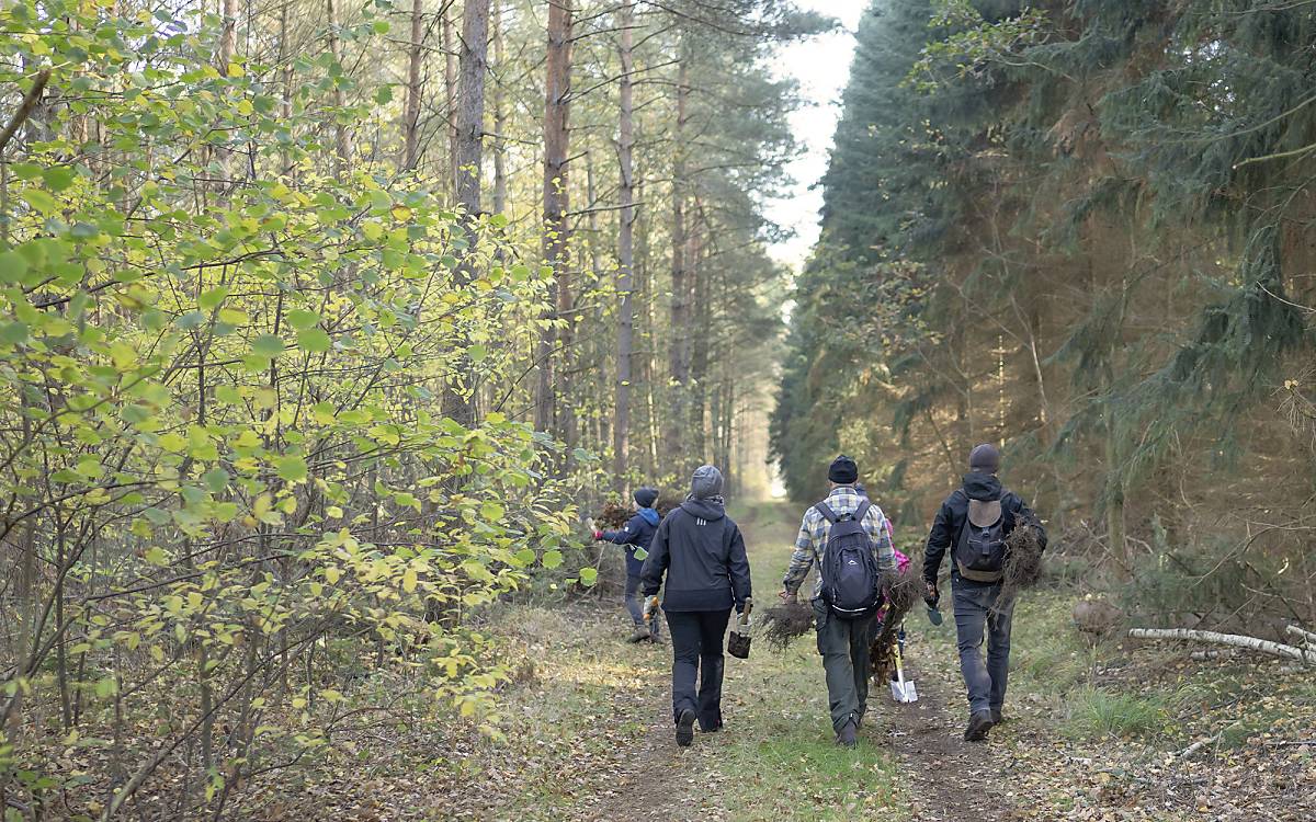 Zielgerichtet: Mit Spaten und Setzlingen geht es in den Wald.