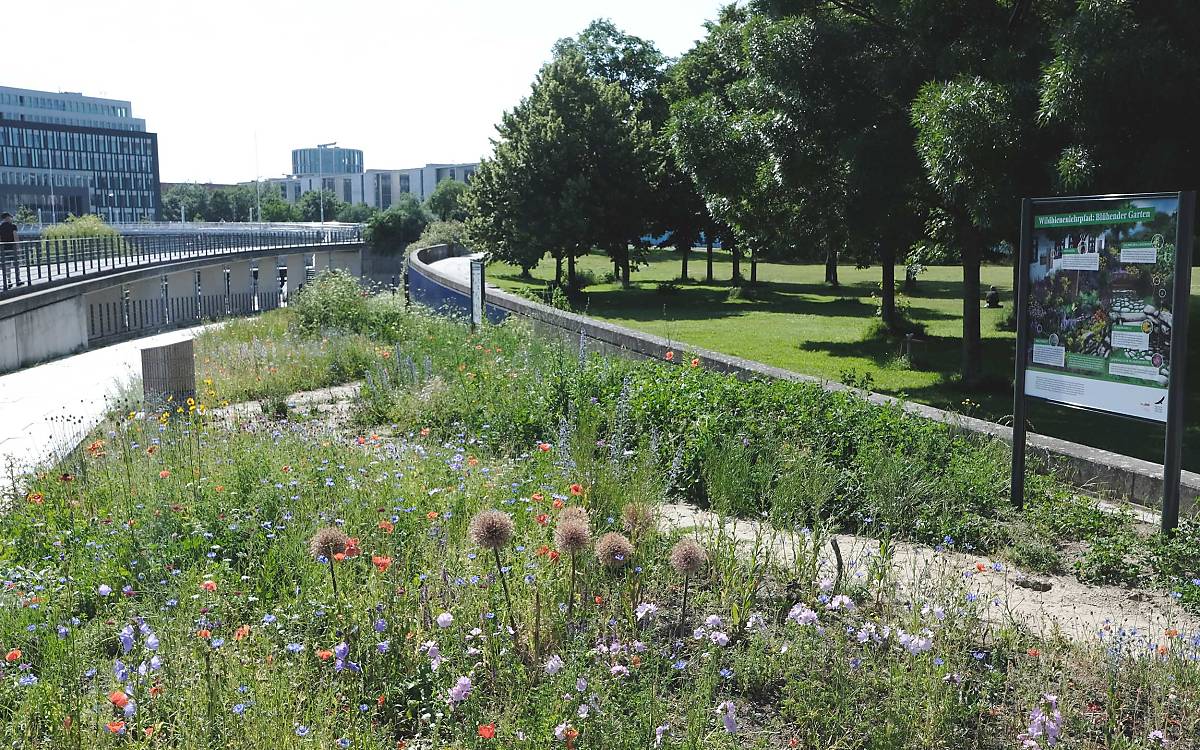 Wildbienenlehrpfad im Spreebogenpark