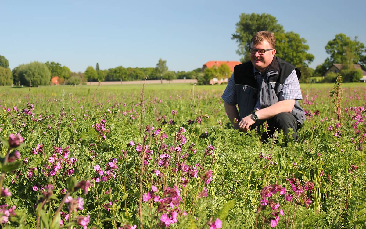 galerie_landwirt-richard-schulte-auf-wildpflanzenacker-foto-werner-kuhn