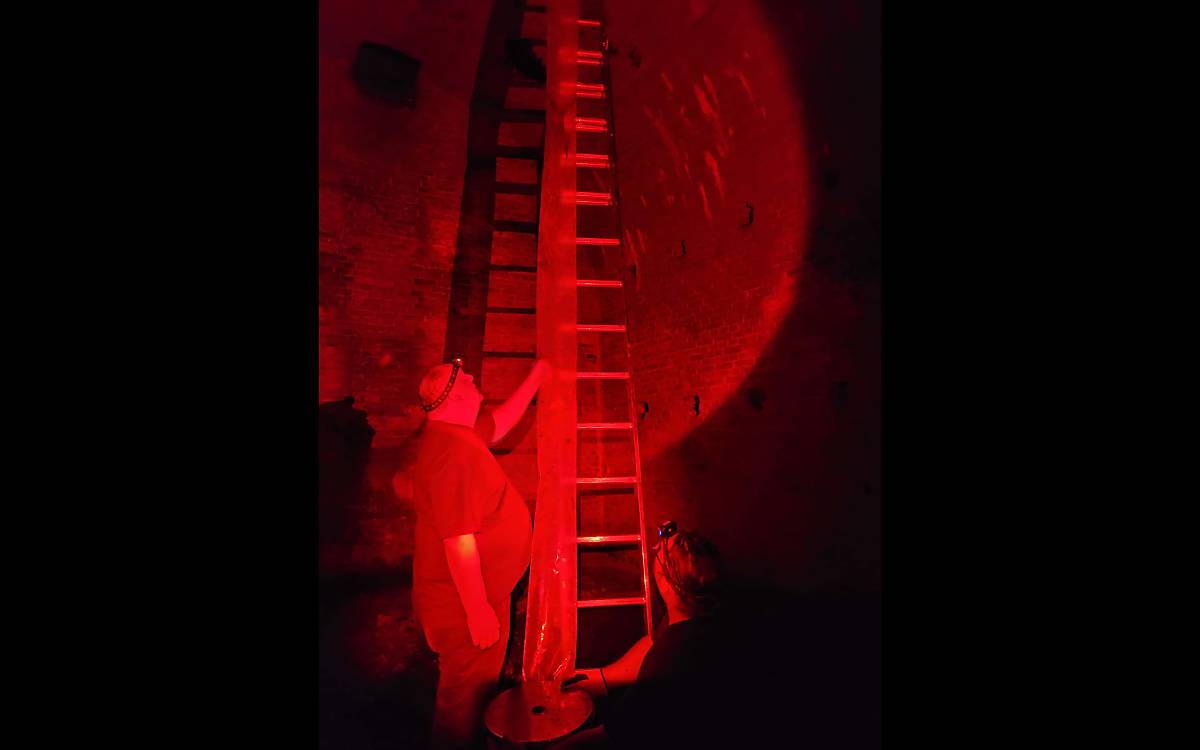 Das eingespielte Team kletterte mehrere Tage durch alte Bunkeranlagen, verfallene Brauereien und Eiskeller, um die Winterquartiere der Großen Mausohren zu finden.