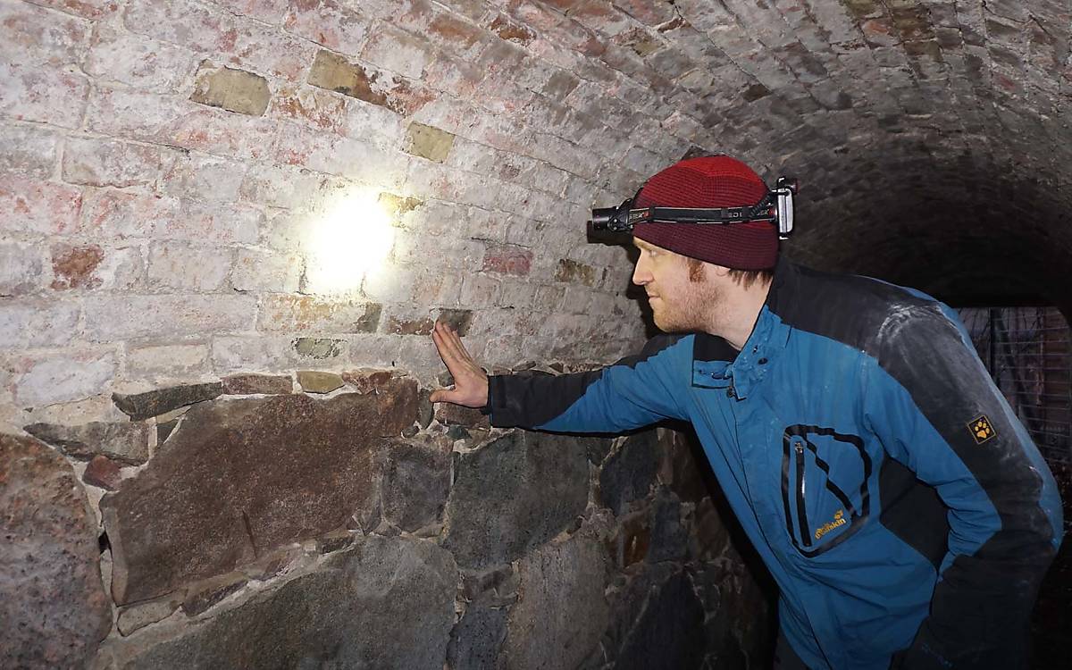 Dr. Simon Ripperger prüft die Beschaffenheit der bevorzugten Winterquartiere.