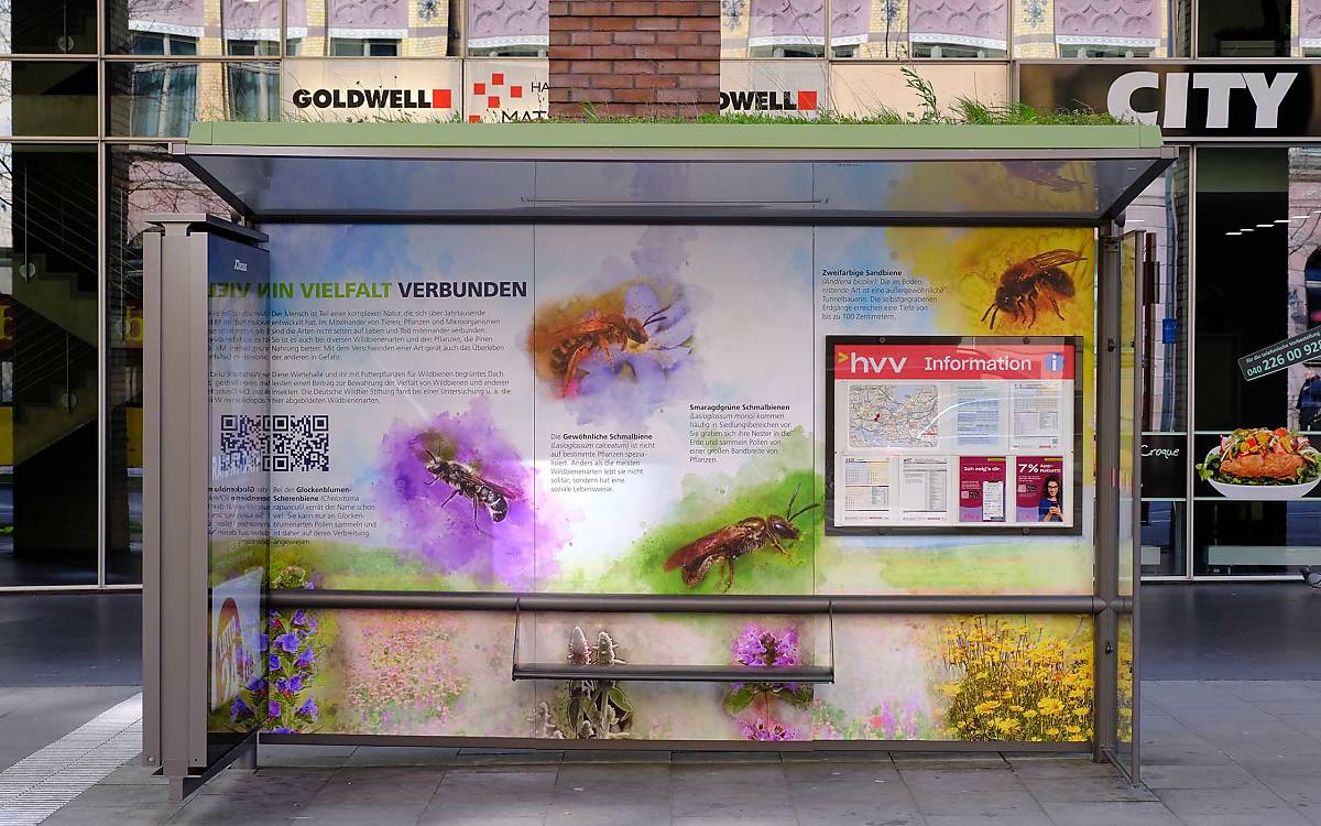 galerie_2_dachbegruenung_bushaltestellen-hamburg