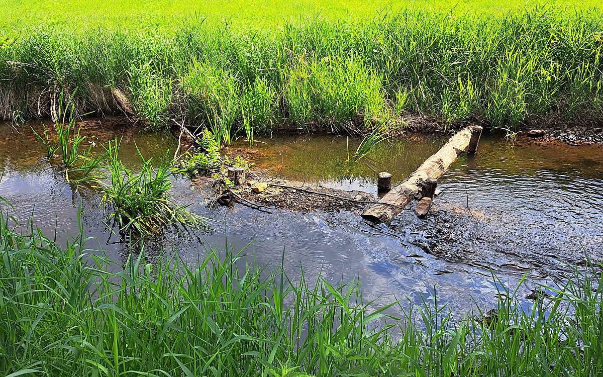 fischotterschutz-entlang-der-fintau_grundschwellen_stroemungslenkung-2_foto-lea-carina-mendel