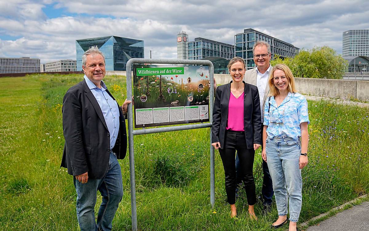 Von links: Dr. Christian Schmid-Egger von der Deutschen Wildtier Stiftung, Umweltsenatorin Dr. Manja Schreiner, Prof. Dr. Klaus Hackländer und Umweltstadträtin Dr. Almut Neumann vor der Infotafel am Spreebogen.