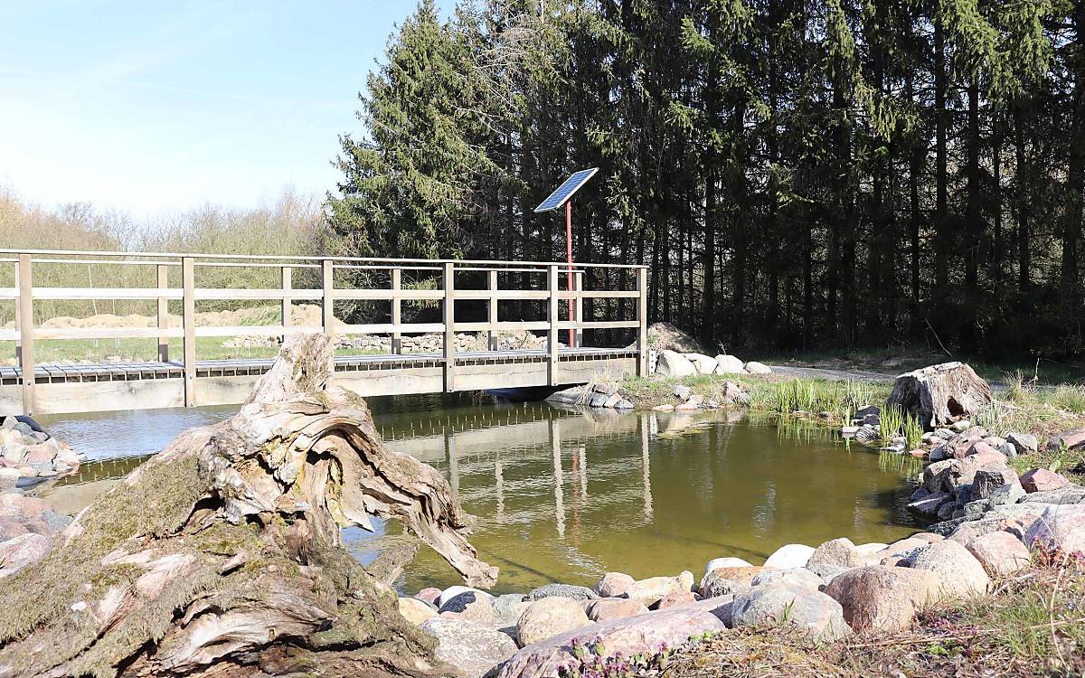 Fledermausgartenteich mit Brücke