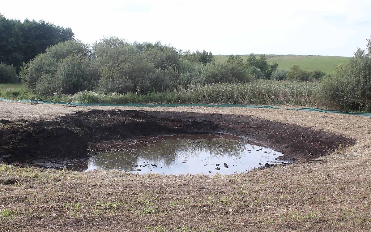 Der Teich, durch den der Goldbach fließt