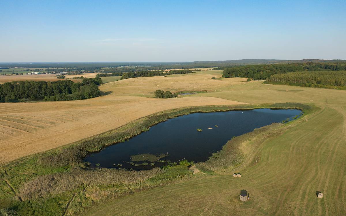 Hinterwiesenweiher – Foto: Michael Tetzlaff