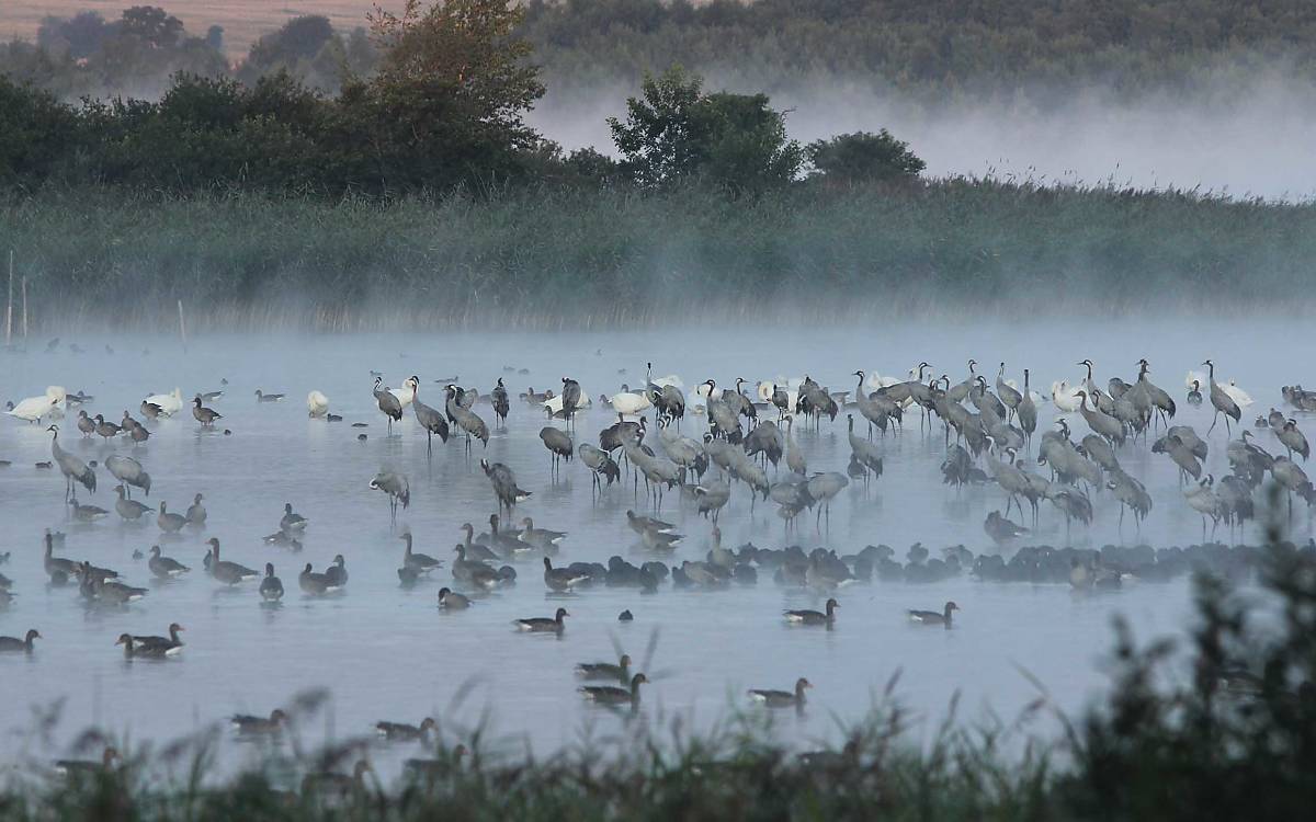 Abendstimmung am Galenbeker See