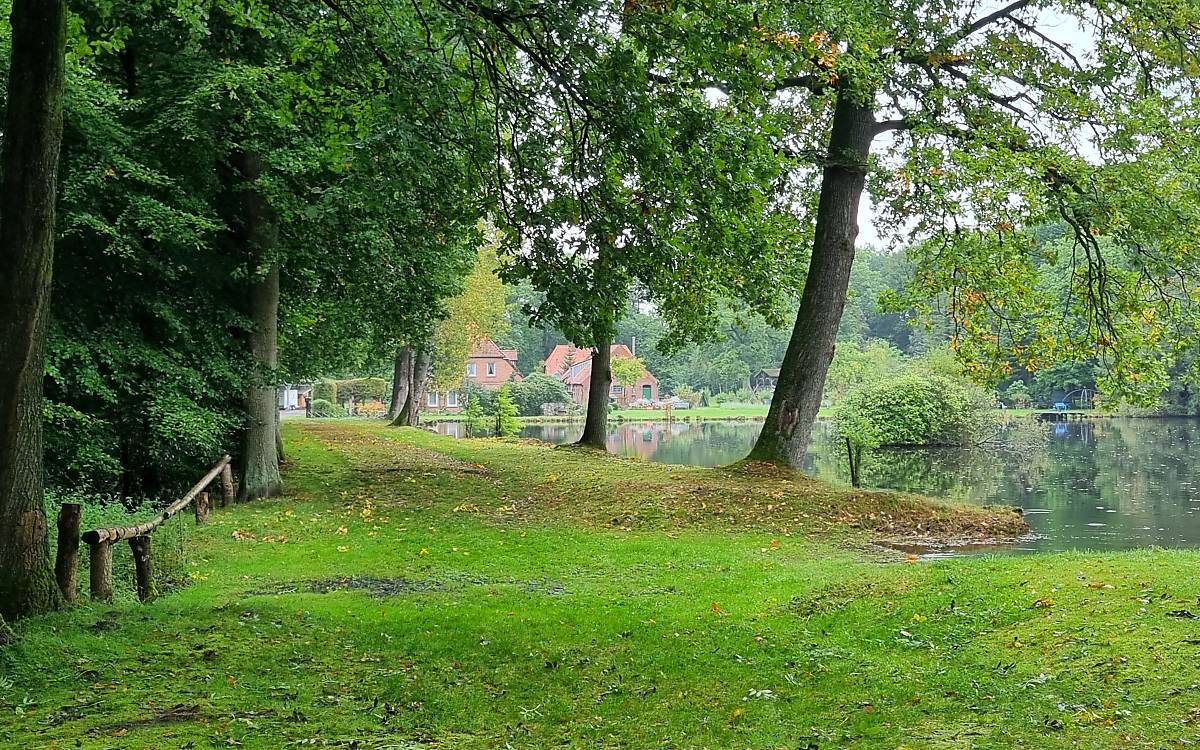 Idyllisch: der Mühlenteich in Eggersmühlen