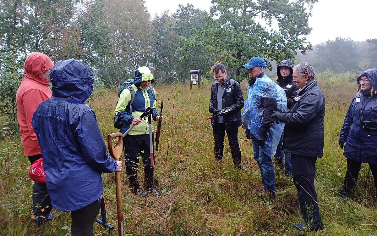 Heide entkusseln für Einsteiger: Die Exkursionsleiterin zeigt, wie man mit Spaten und Astschere den Baumaufwuchs entfernt.
