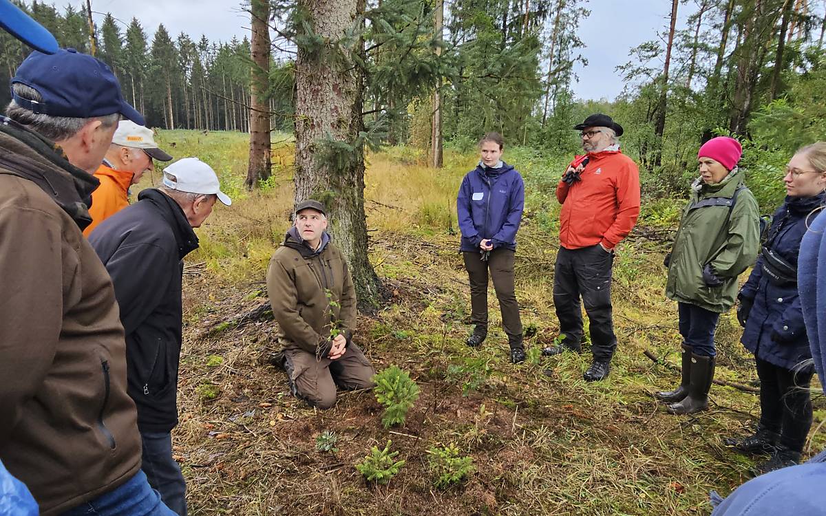 Förster Knut Fischer erklärt, was einen artenreichen Mischwald auszeichnet.