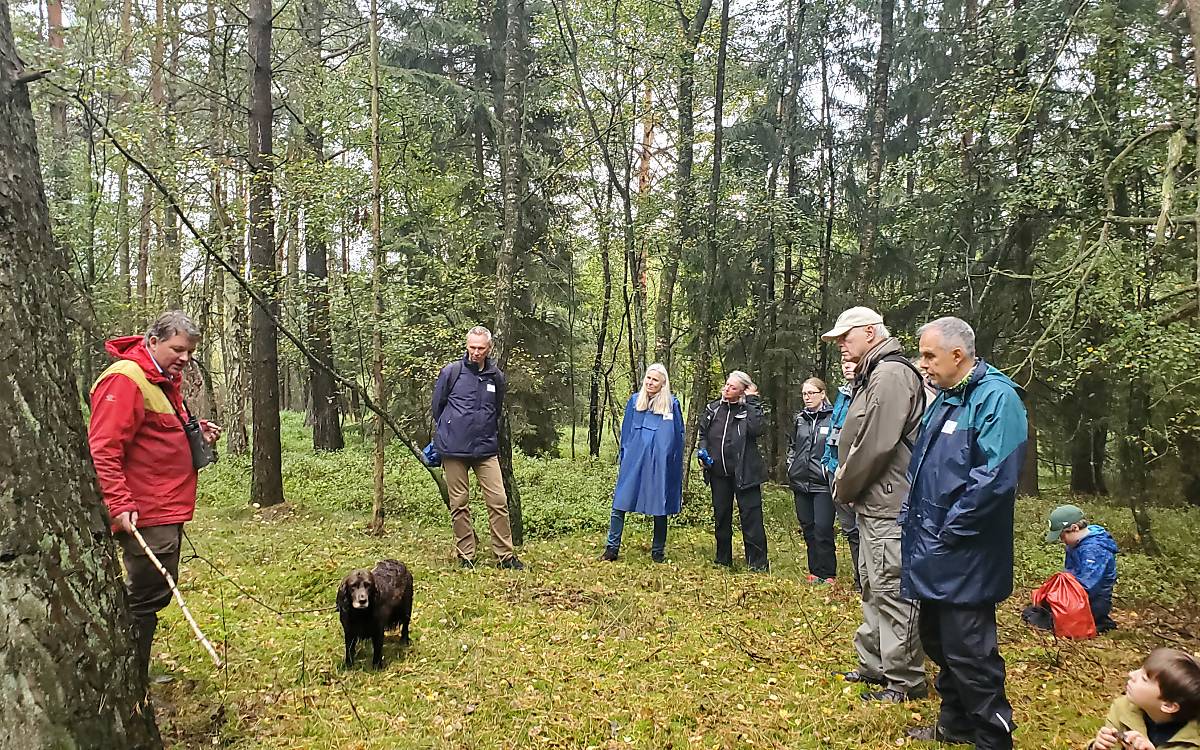 Auch im Wald können aufmerksame Besucher viel entdecken.