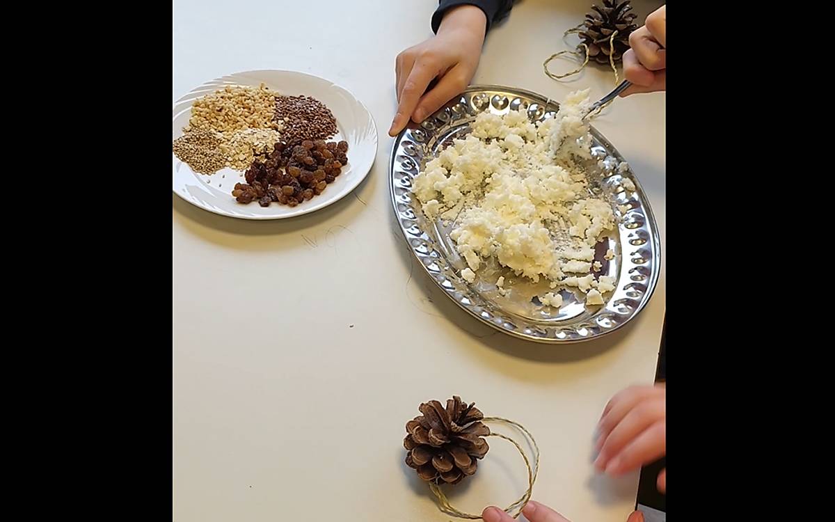 gefuellte-zapfen_gefuellte-zapfen-step-1