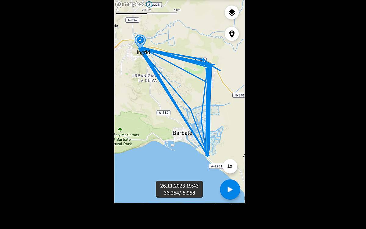 waldrapp-ingrid_ingrid_aktivitaeten-standort-nachts_20231129_animal-tracker