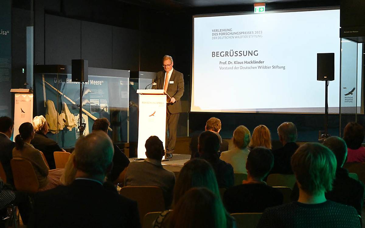 Prof. Dr. Klaus Hackländer spricht über die Hintergründe  des Forschungspreises und die Bedeutung der Forschung für den Natur- und Artenschutz.