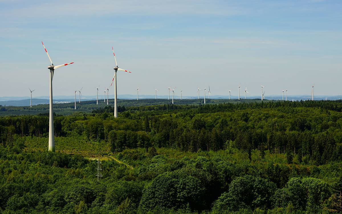 Windenergieanlagen im Lebensraum Wald