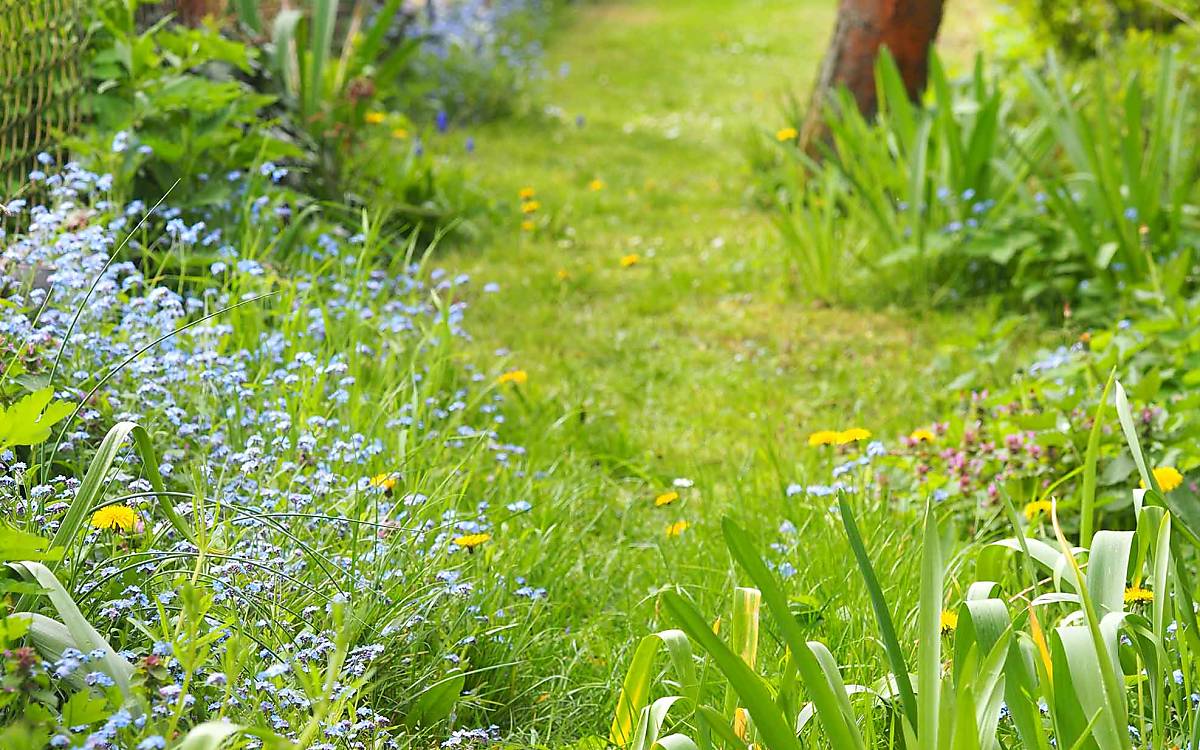 Ungemähte Bereiche und unversiegelte Wege sind für Insekten wie Wildbienen besonders wertvoll.