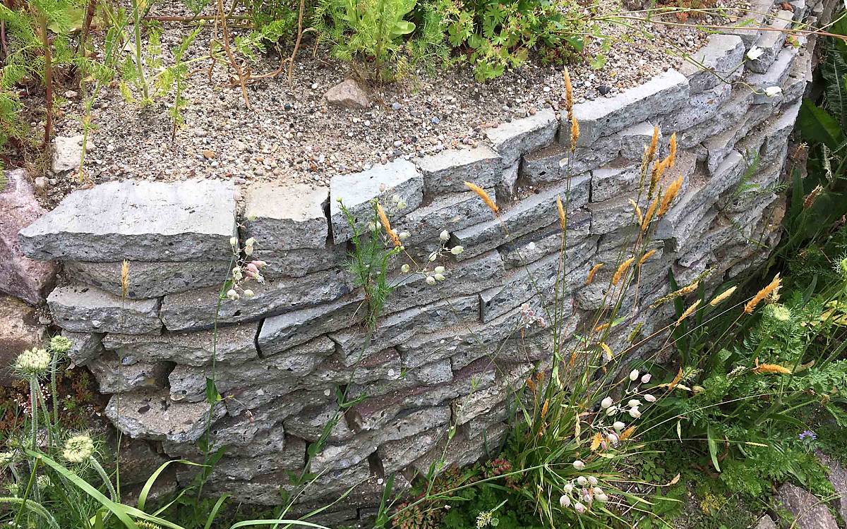 In Trockenmauern finden wärmeliebende Insekten einen wertvollen Lebensraum.