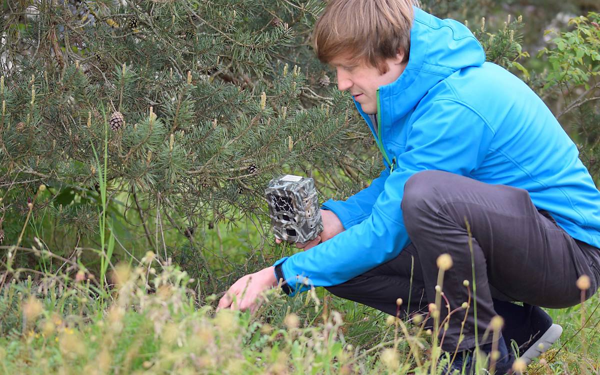 Dr. Simon Rippberger machte sich mithilfe von Wildtierkameras auf die Suche nach der Bayerischen Kurzohrmaus.