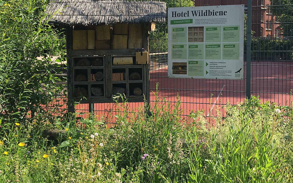 Auch eine Nisthilfe mit Infotafel wurde aufgestellt.