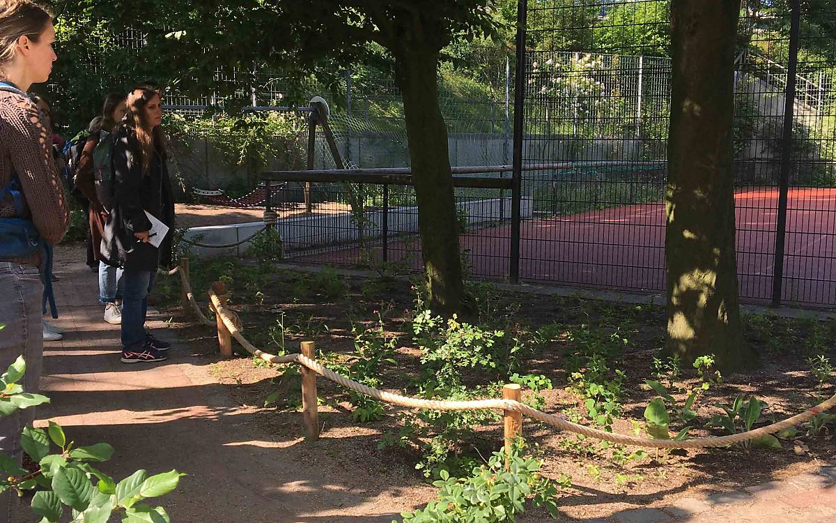 Auf Staudenbeeten wachsen auf den Standort abgestimmte, heimische Blühpflanzen. Sie sorgen für ein großes Nektar- und Pollenangebot.