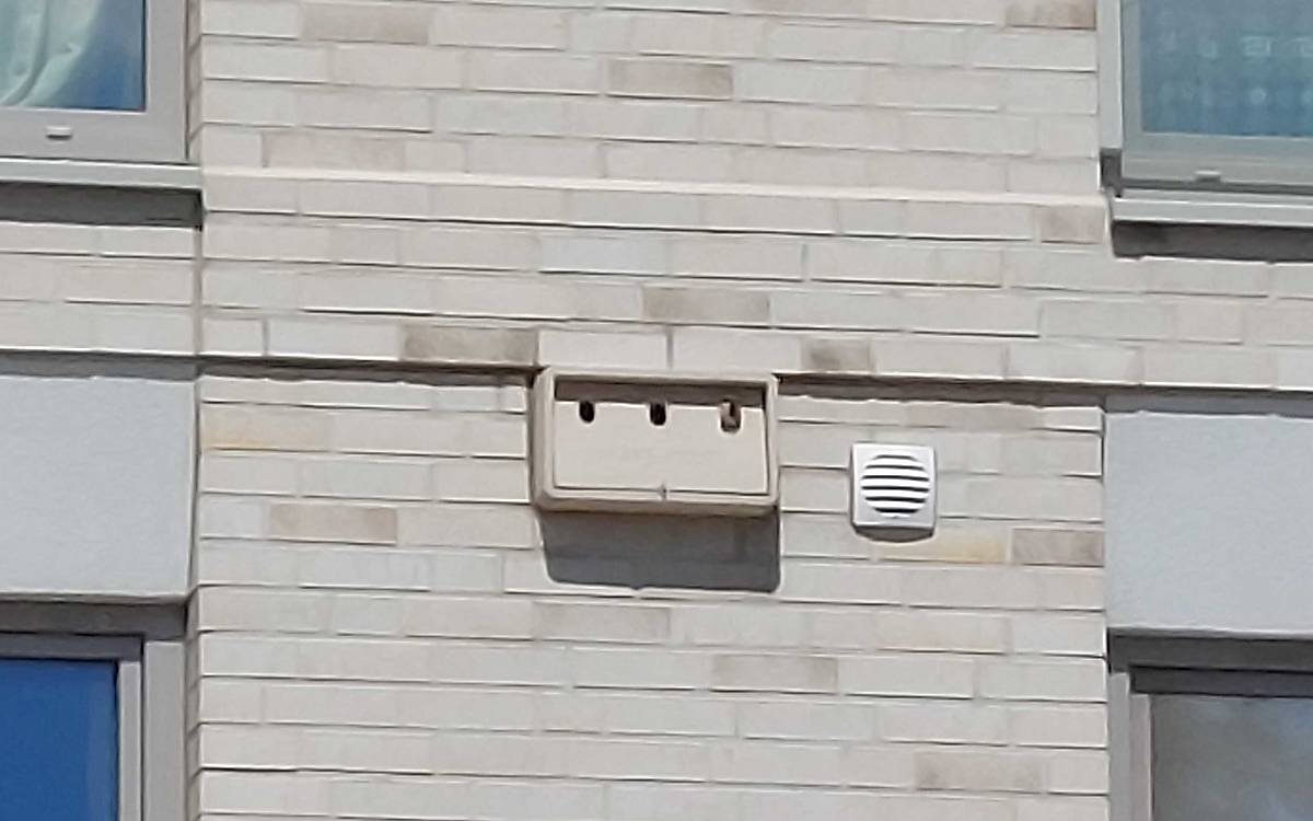 spatz-guckt-aus-nistkasten-an-hausfassade_andrea-bartels