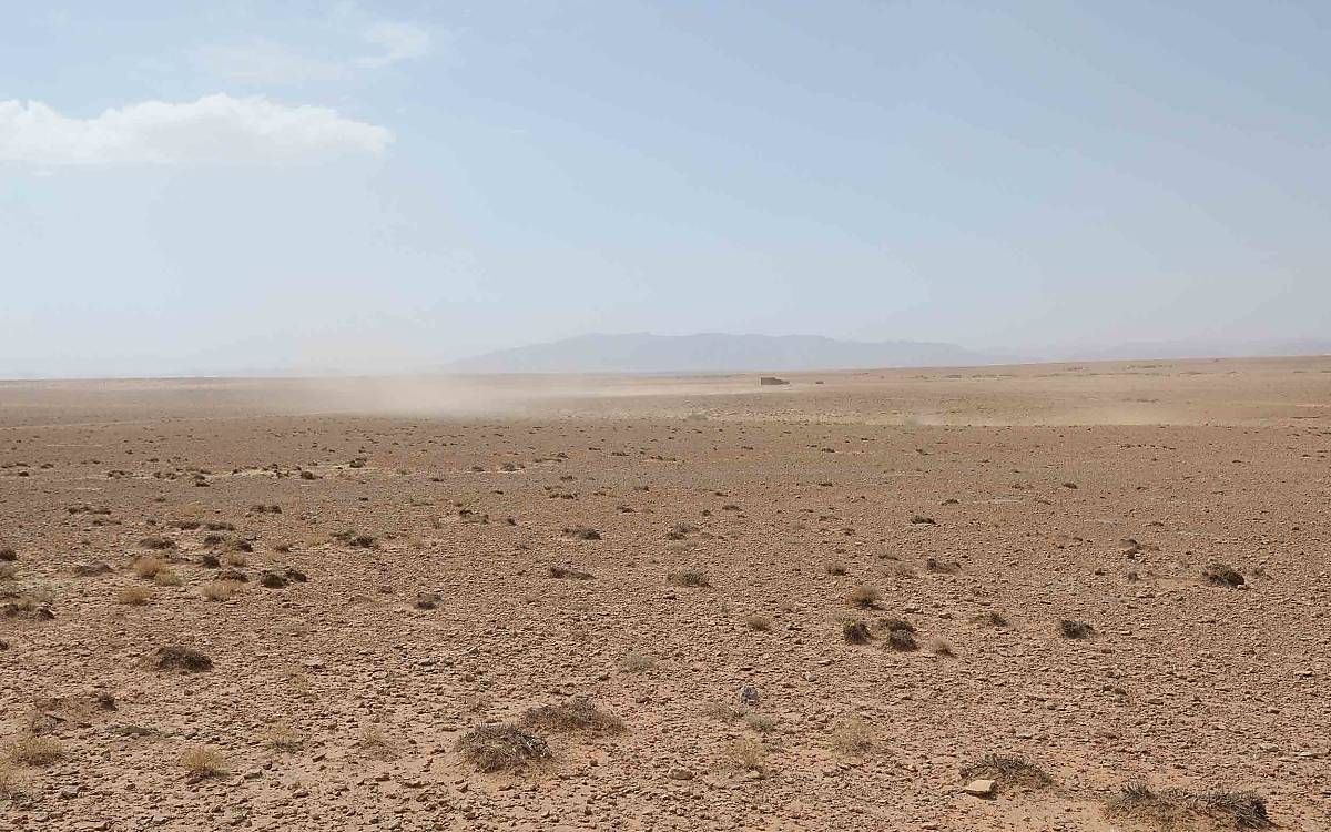 Sand wird hochgewirbelt, die Überbeweidung der Halfa-Steppe ist deutlich erkennbar.