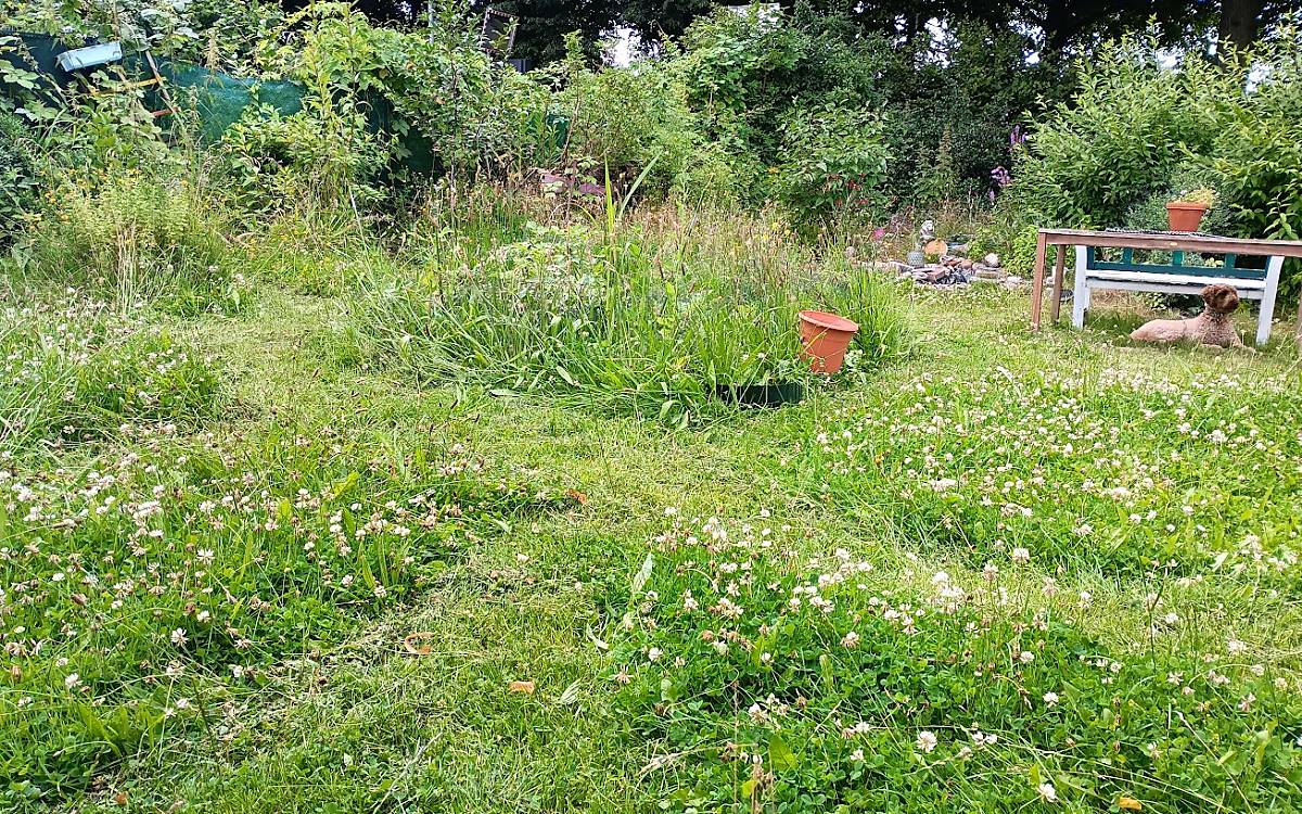 Blühende und verwilderte Ecken im Garten werden zum Lebensraum für Wildtiere.